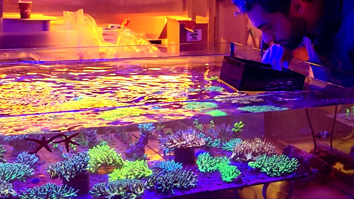 Think Fish Aquaculture (TFA)