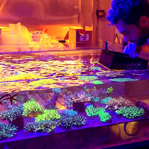 Think Fish Aquaculture (TFA)